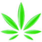 leaf illustration